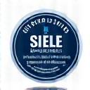 Certificación preparación SIELE